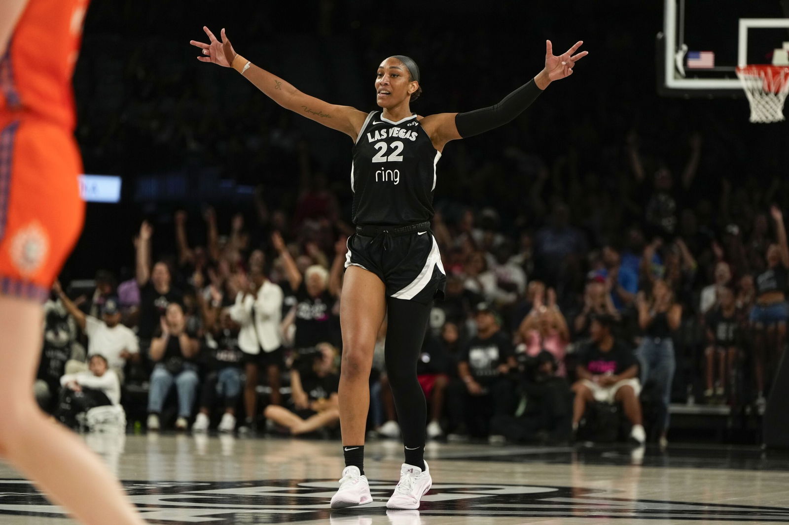 <i>Lucas Peltier/Imagn Images/Reuters via CNN Newsource</i><br/>A'ja Wilson made WNBA history with a 30-20 stat line.