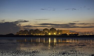 Activity at the Gravelines power station in France has been suspended after a swarm of jellyfish got into the cooling system.