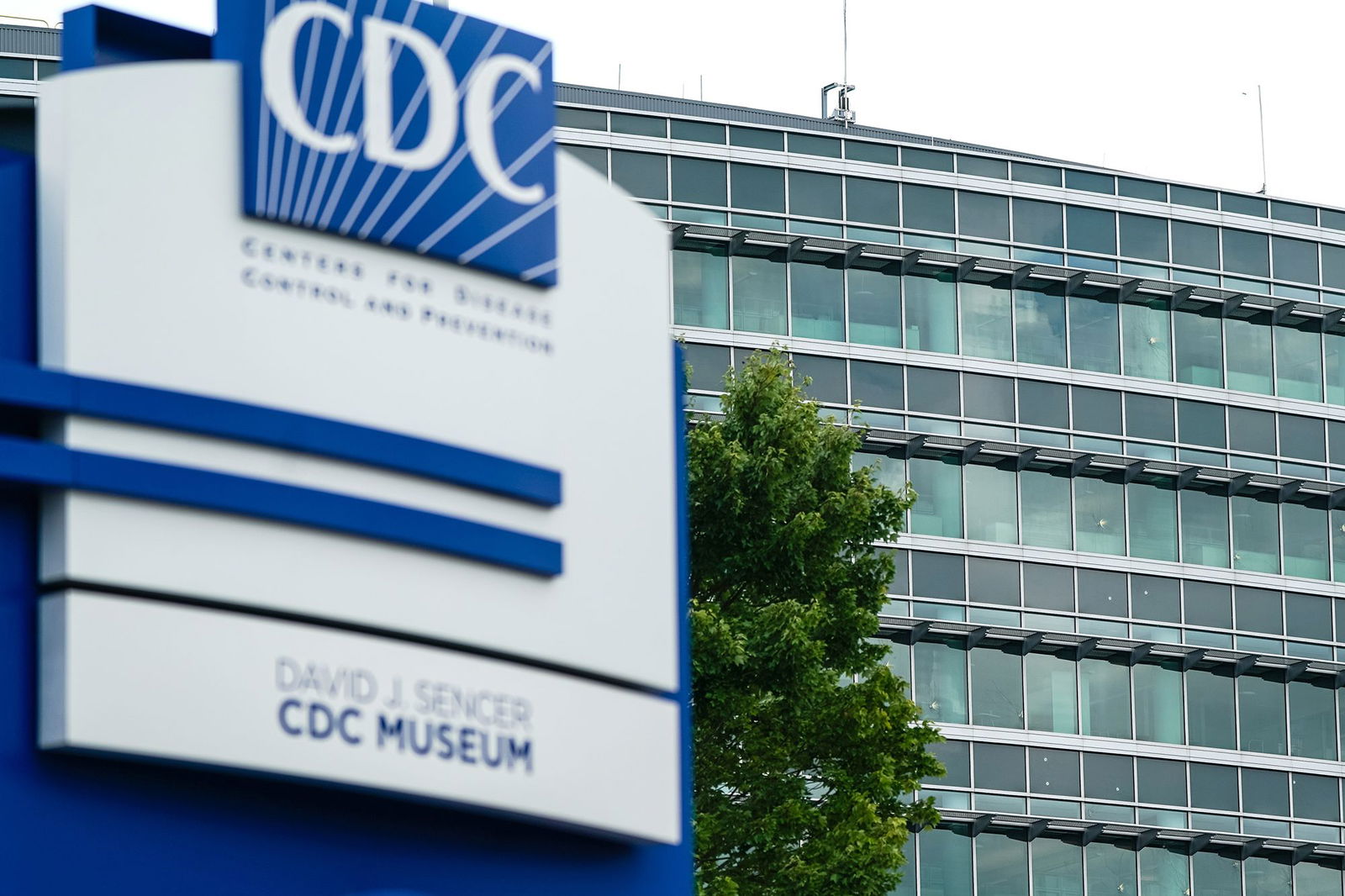 <i>Elijah Nouvelage/Getty Images via CNN Newsource</i><br/>Bullet holes were seen Saturday in windows at the Centers for Disease Control Global Headquarters
