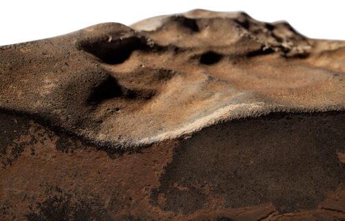 The NWA 16788 meteorite recently sold at auction for $5.3 million.