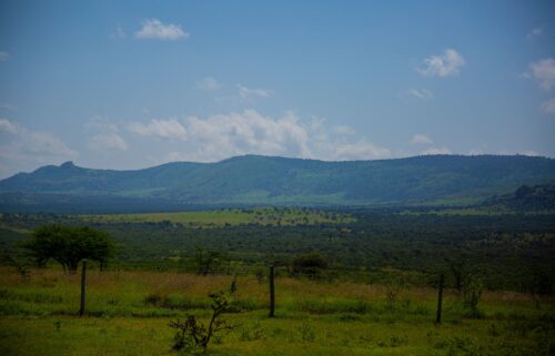 The privately-owned Lolldaiga Conservancy in central Kenya where a 2021 fire during British Army training exercise burned for about a week