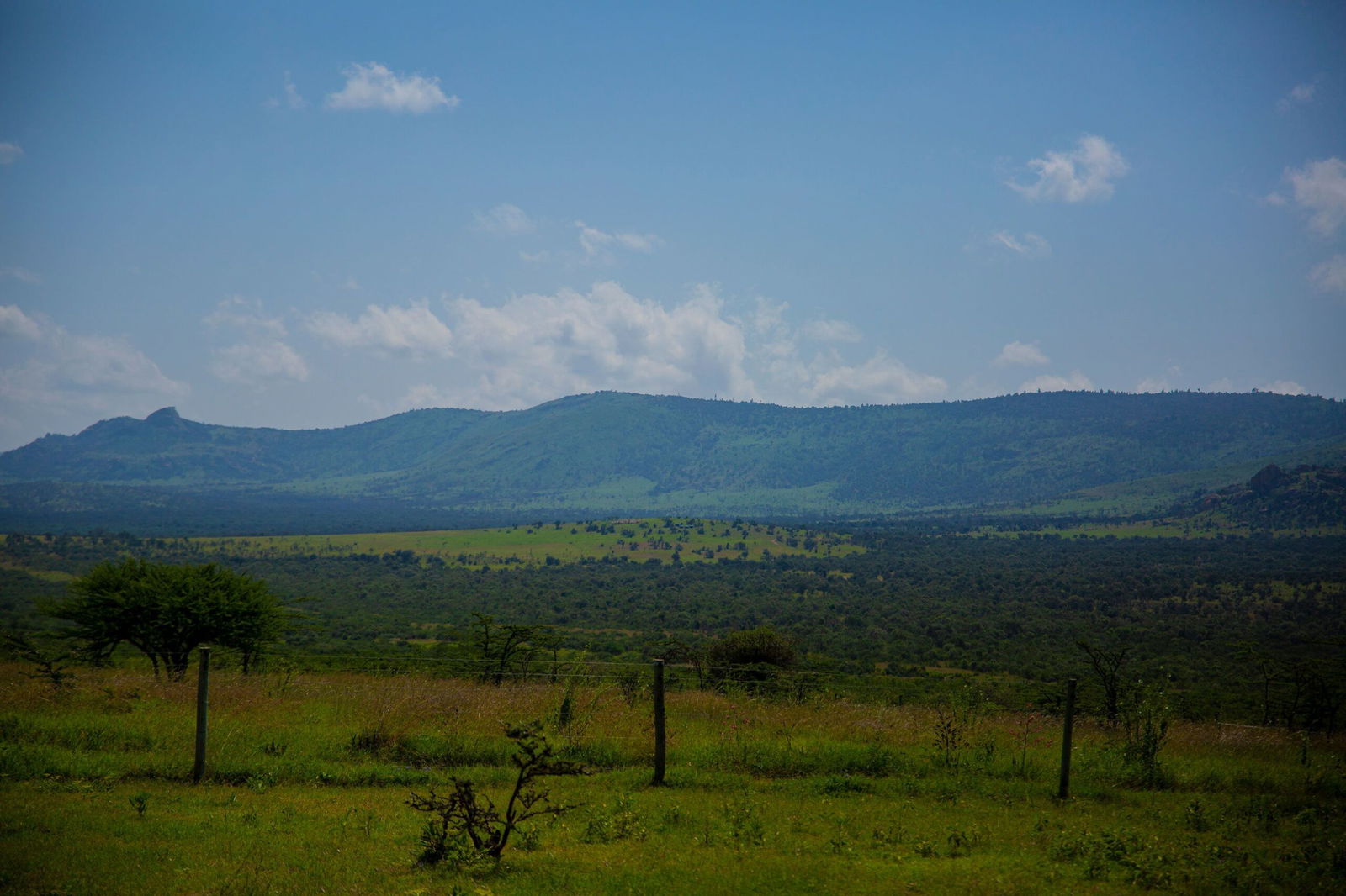 <i>Festo Lang for CNN via CNN Newsource</i><br/>The privately-owned Lolldaiga Conservancy in central Kenya where a 2021 fire during British Army training exercise burned for about a week