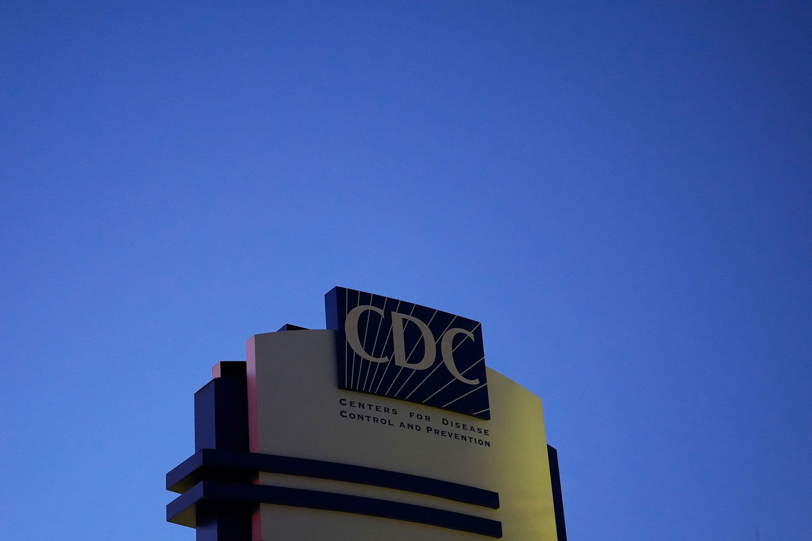 <i>Brynn Anderson/AP/File via CNN Newsource</i><br/>The Advisory Committee on Immunization Practices is tasked with reviewing the latest science on vaccines and then making recommendations to the CDC on how they should be used.