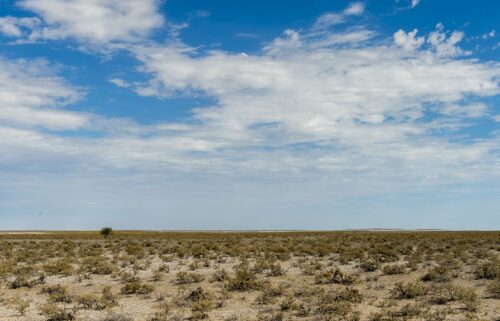 A view of the Etosha National Park in northwestern Namibia.