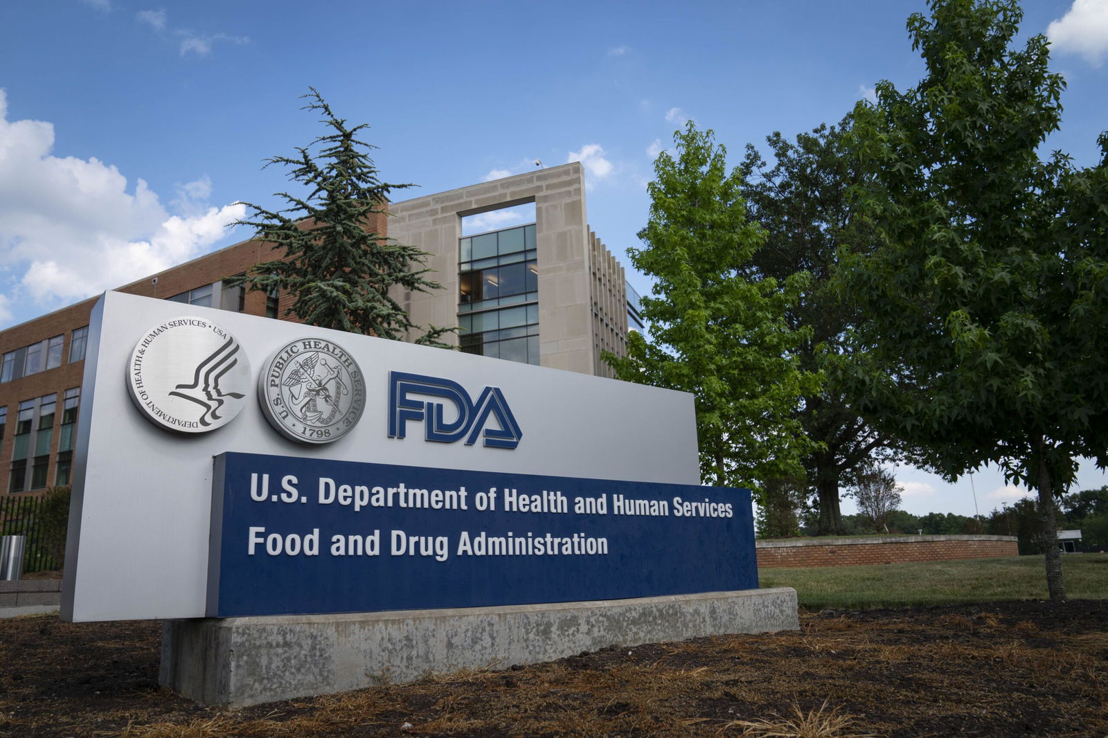 <i>Sarah Silbiger/Getty Images via CNN Newsource</i><br/>Roche's Elecsys pTau181 test is the second blood-based biomarker test to receive FDA clearance for Alzheimer’s disease this year.