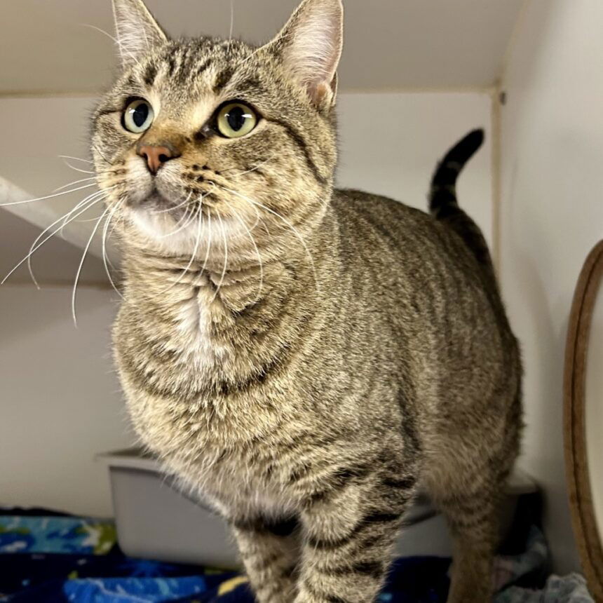 c05acfb12a16c9de2fb01b070d2c7bce