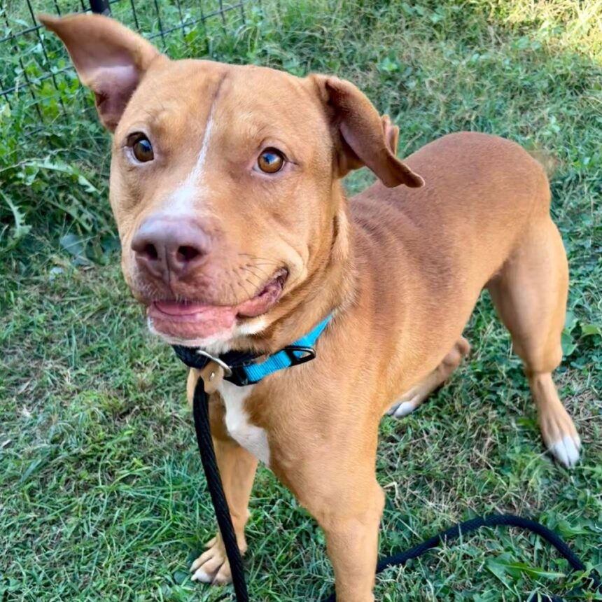 c9dedb295af6fc9a335d2d7a47b53b0b