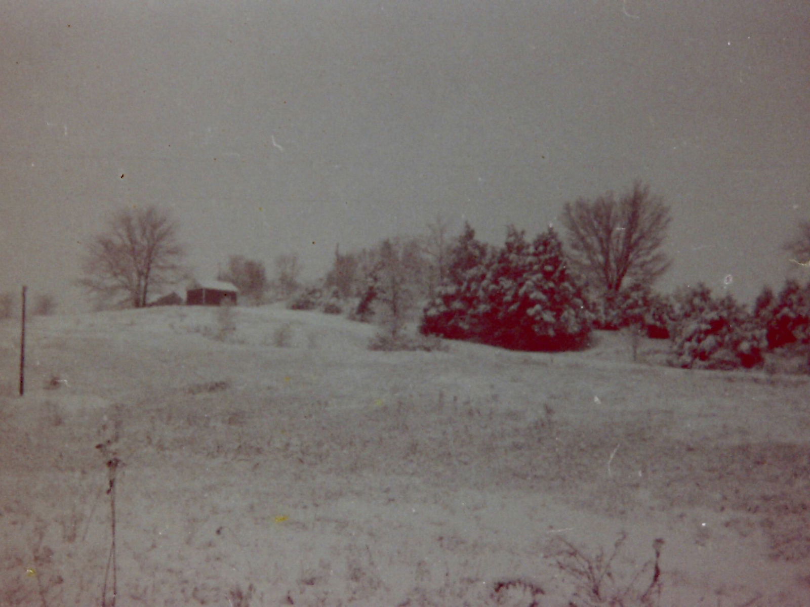 <i>John Morris via CNN Newsource</i><br/>John took a few photos of the snow