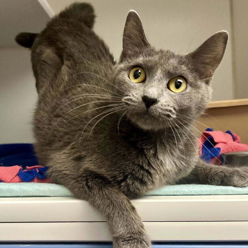 fa72a904e7d8b64745e5362d86257ad0