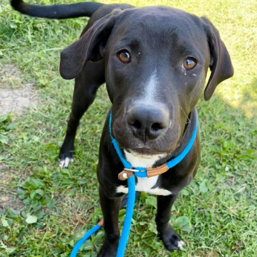 fd5e68ef739ea1b8e911e5c0d4d3a34d