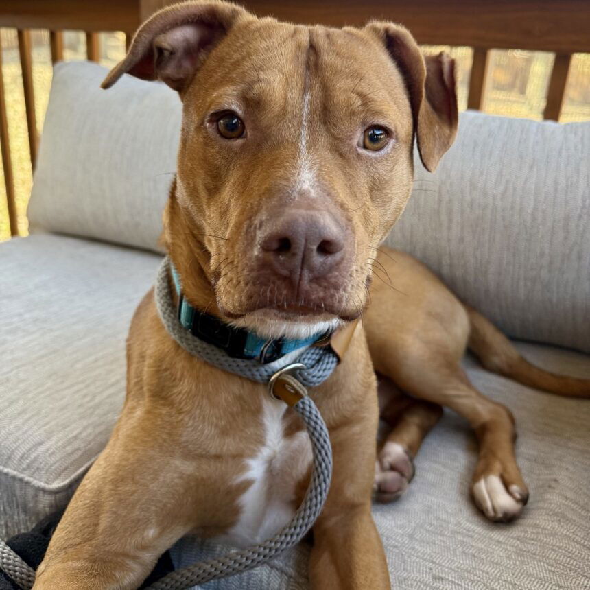 5d3457d0e07d61fc5820cbf6a53f90a5